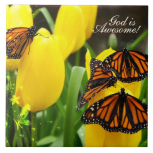 Papillon Art 22 Carreaux