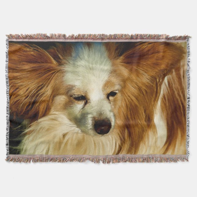 Papillon Beauty - Hundezucht Decke (Vorderseite)
