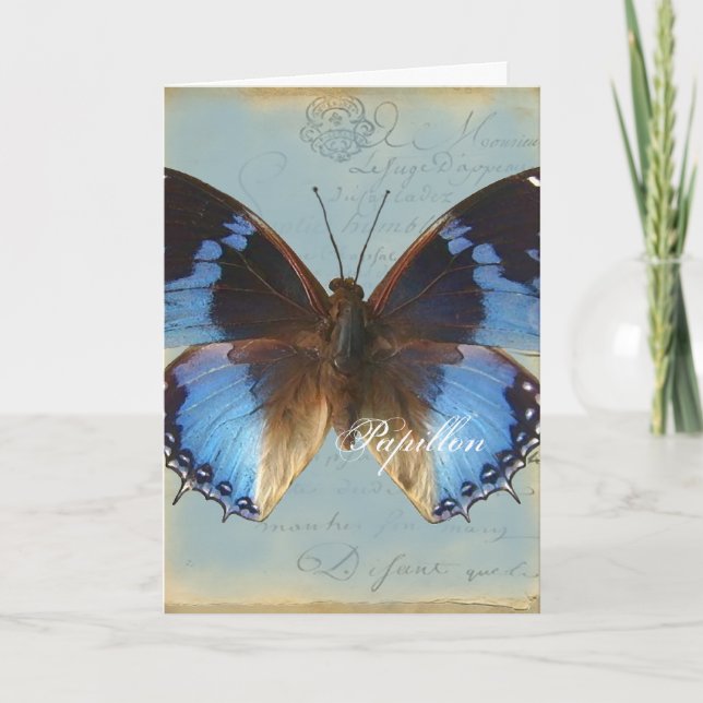 Papillon Blau Karte (Vorderseite)