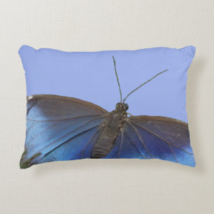 Papillon bleu Cust de Morpho. Coussin d'accent