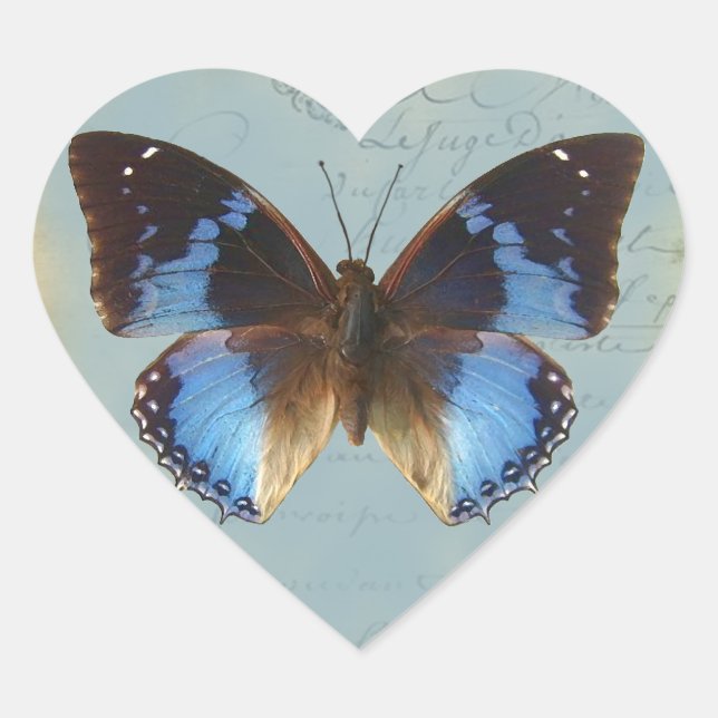 Papillon bleu Herz-Aufkleber (Vorderseite)