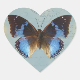 Papillon bleu Herz-Aufkleber