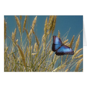 Papillon bleu monarque sur le grain