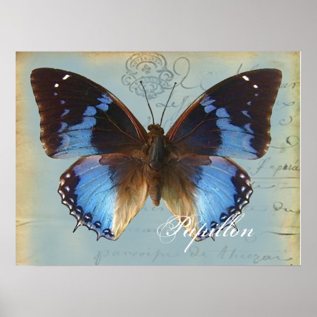 Papillon bleu poster (Vorne)