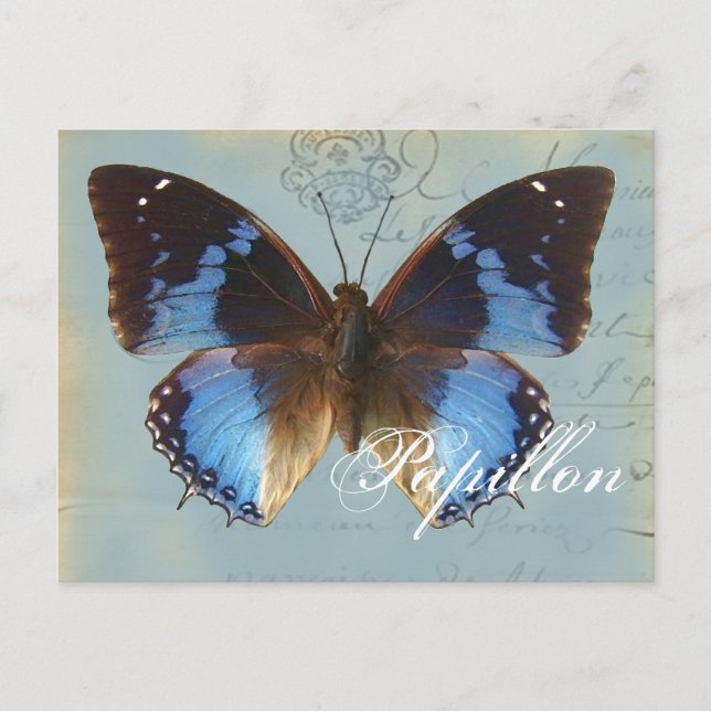 Papillon bleu postkarte (Vorderseite)
