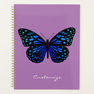Papillon bleu Thunder_Cove