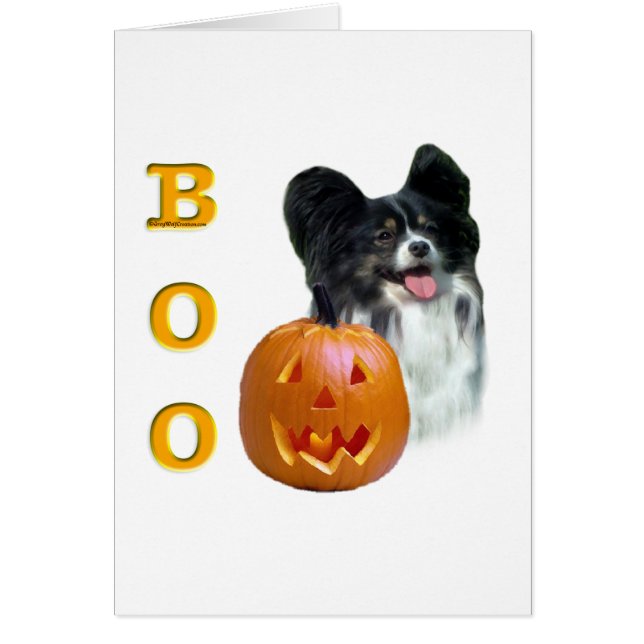 Papillon Boo (Devant)