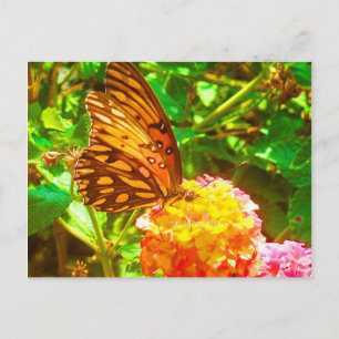 Papillon (Butterfly) Postkarte