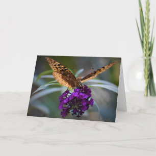 Papillon, carte
