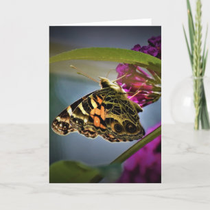 Papillon, carte