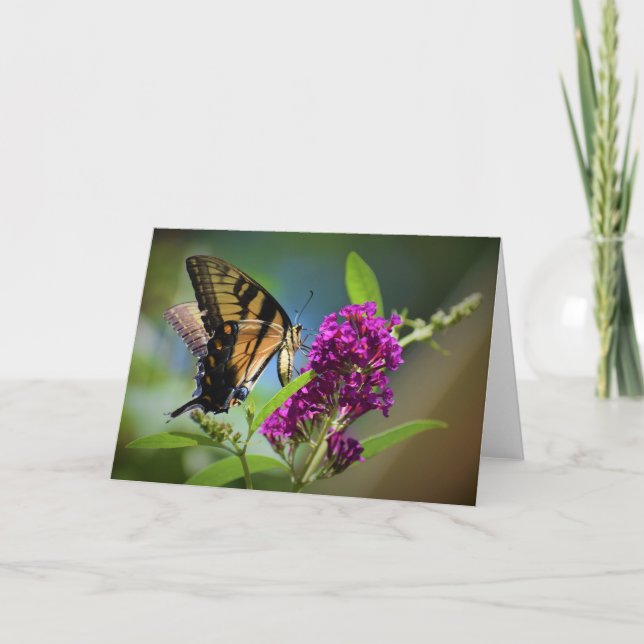 Papillon, carte (Devant)