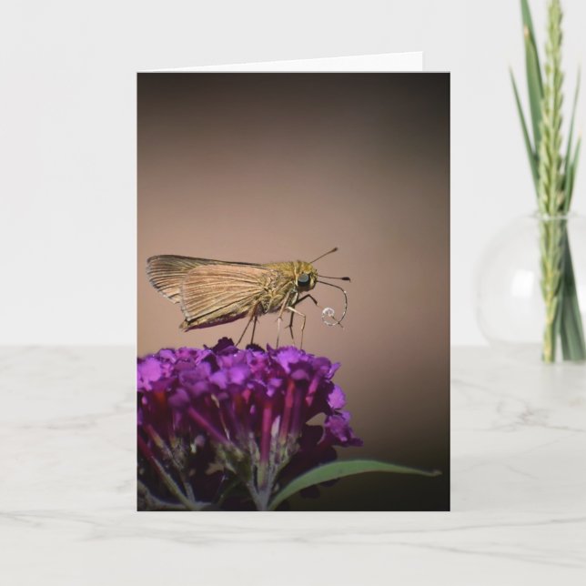 Papillon, carte (Devant)