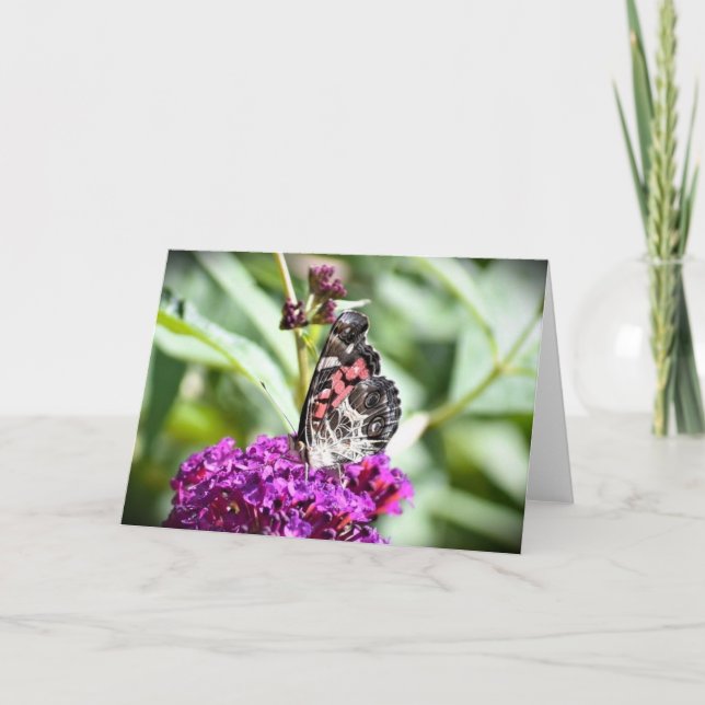 Papillon, carte (Devant)