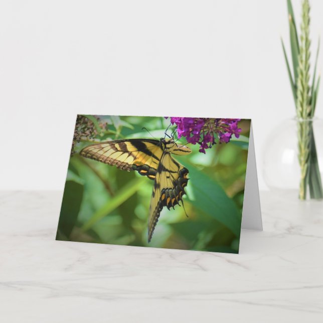 Papillon, carte (Devant)