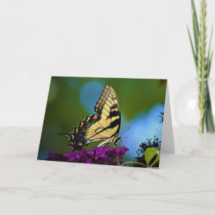 Papillon, carte