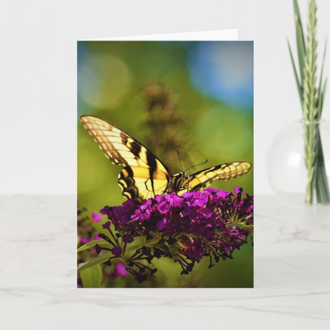 Papillon, carte (Devant)