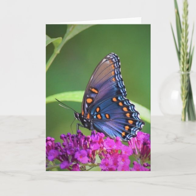 Papillon, carte (Devant)