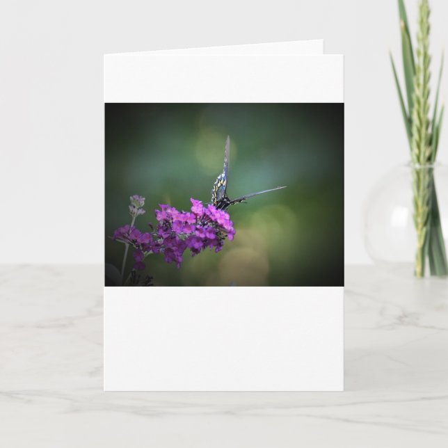 Papillon, carte (Devant)