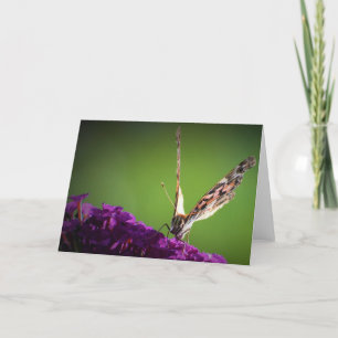 Papillon, carte