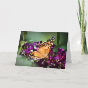 Papillon, carte