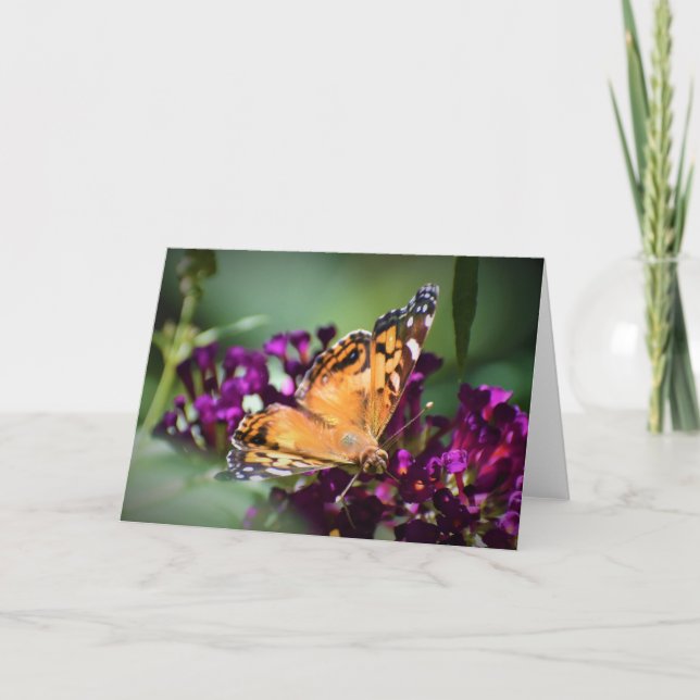 Papillon, carte (Devant)