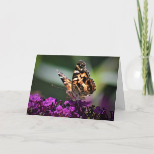 Papillon, carte