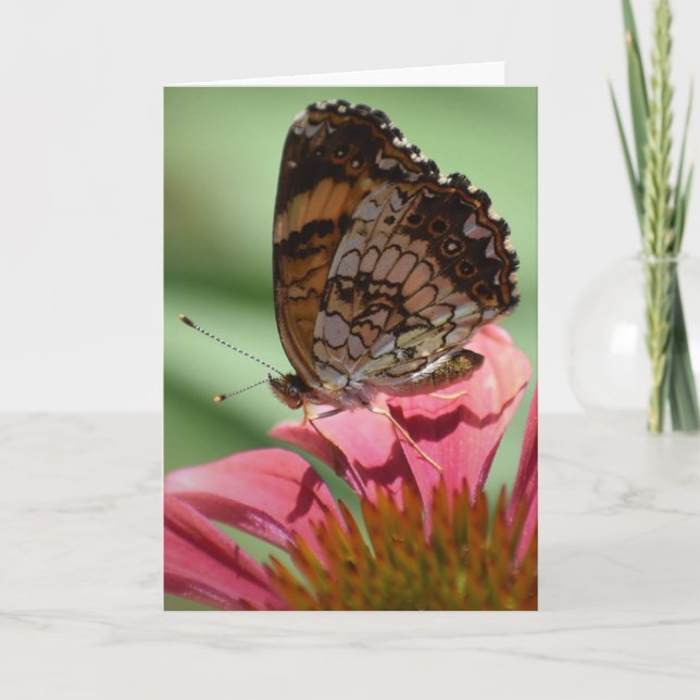 Papillon, carte (Devant)