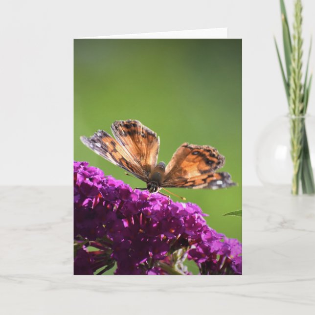 Papillon, carte (Devant)