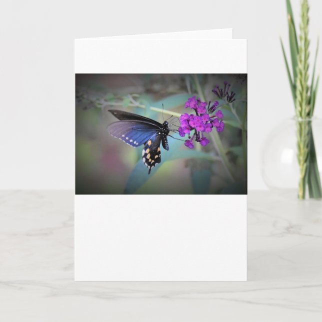 Papillon, carte (Devant)