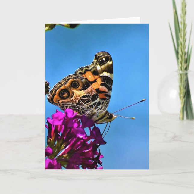 Papillon, carte (Devant)