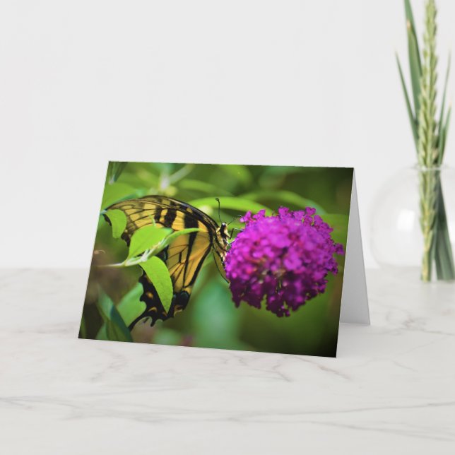 Papillon, carte (Devant)
