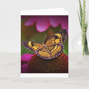 Papillon, carte