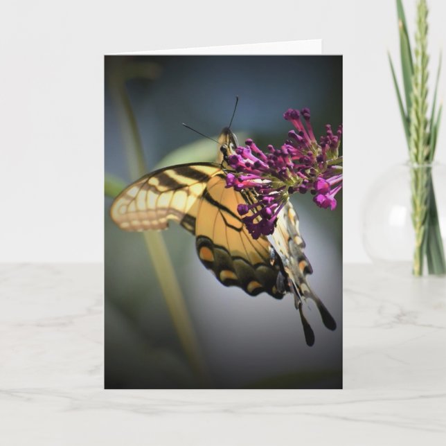 Papillon, carte (Devant)