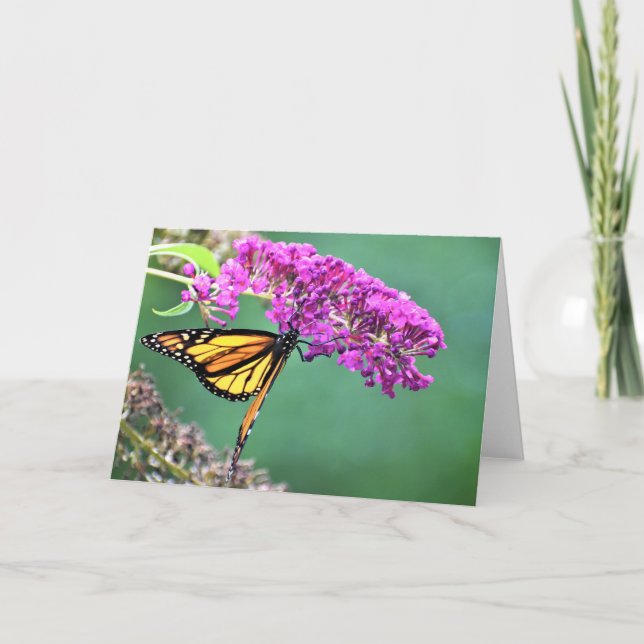 Papillon, carte (Devant)