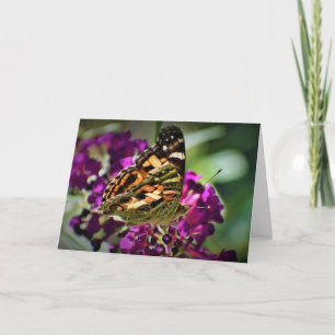 Papillon, carte