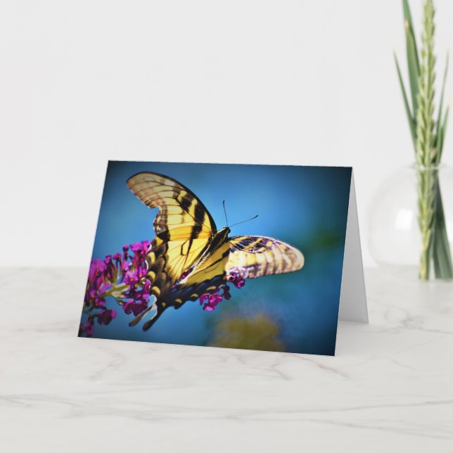Papillon, carte (Devant)