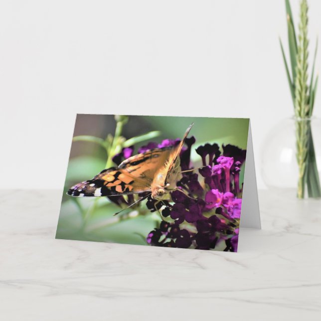 Papillon, carte (Devant)