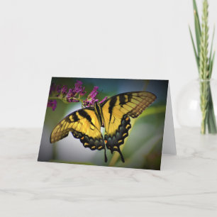 Papillon, carte