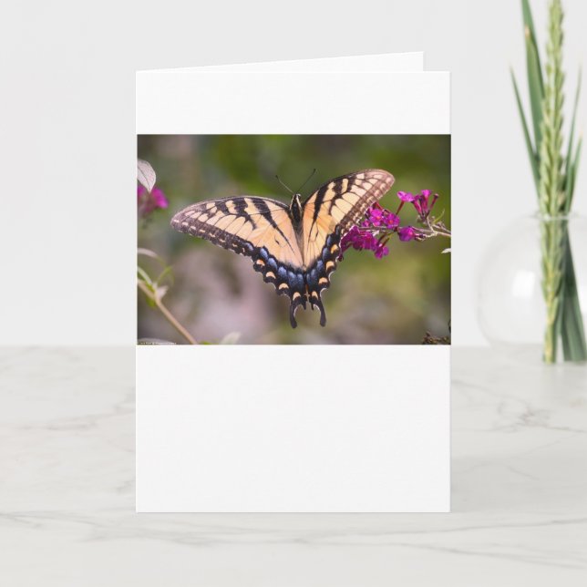 Papillon, carte (Devant)