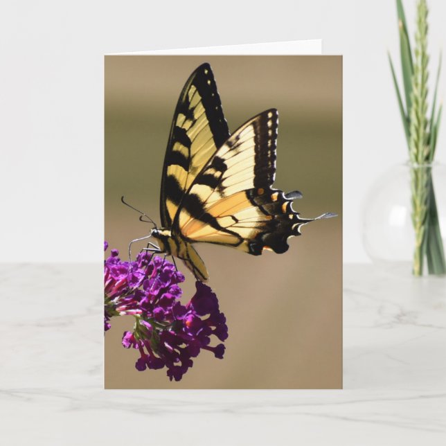 Papillon, carte (Devant)