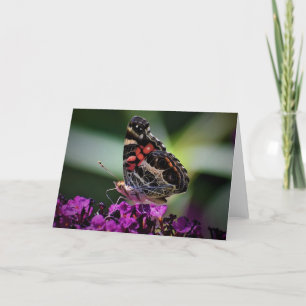 Papillon, carte