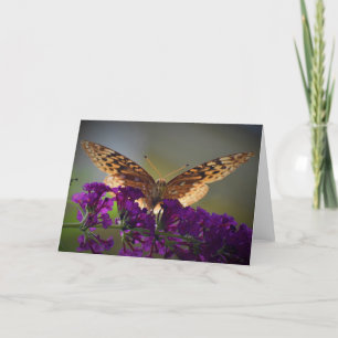 Papillon, carte