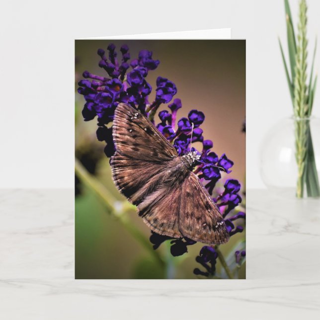 Papillon, carte (Devant)