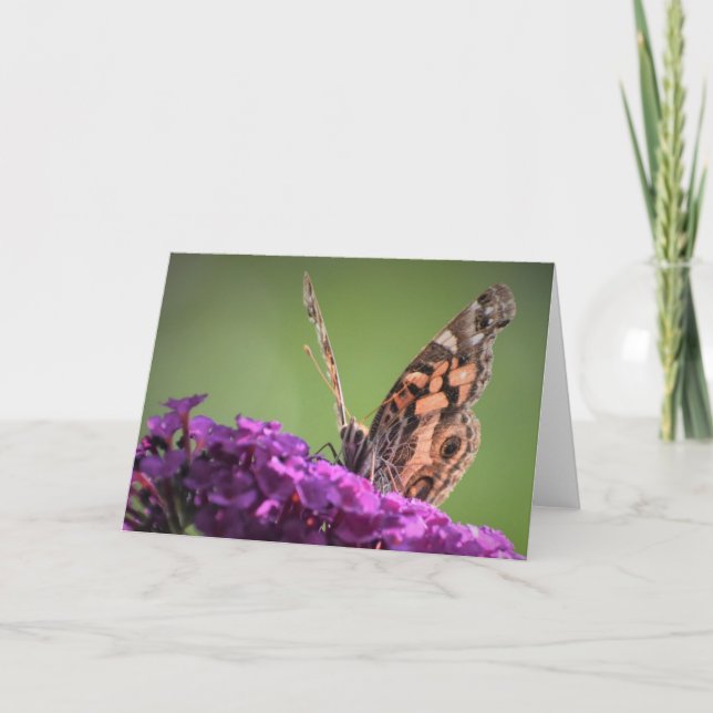 Papillon, carte (Devant)