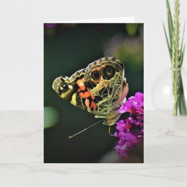 Papillon, carte (Devant)