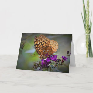 Papillon, carte