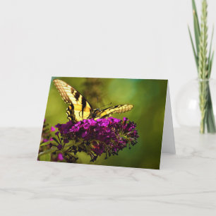 Papillon, carte