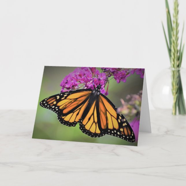 Papillon, carte (Devant)