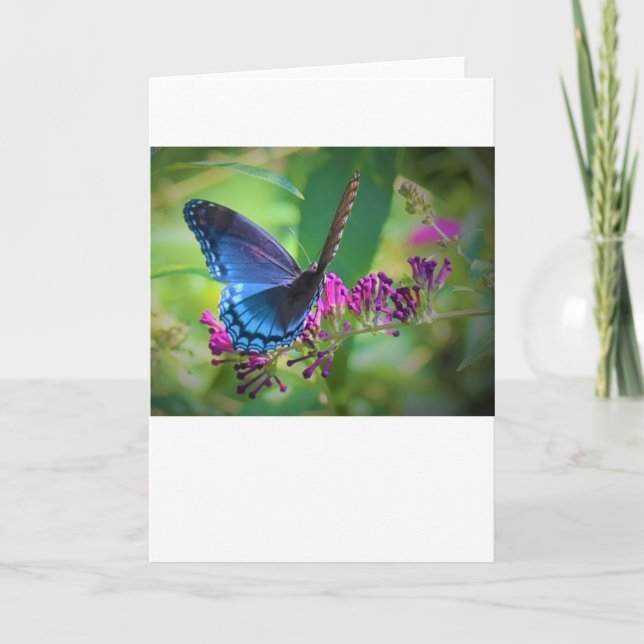 Papillon, carte (Devant)