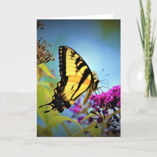 Papillon, carte